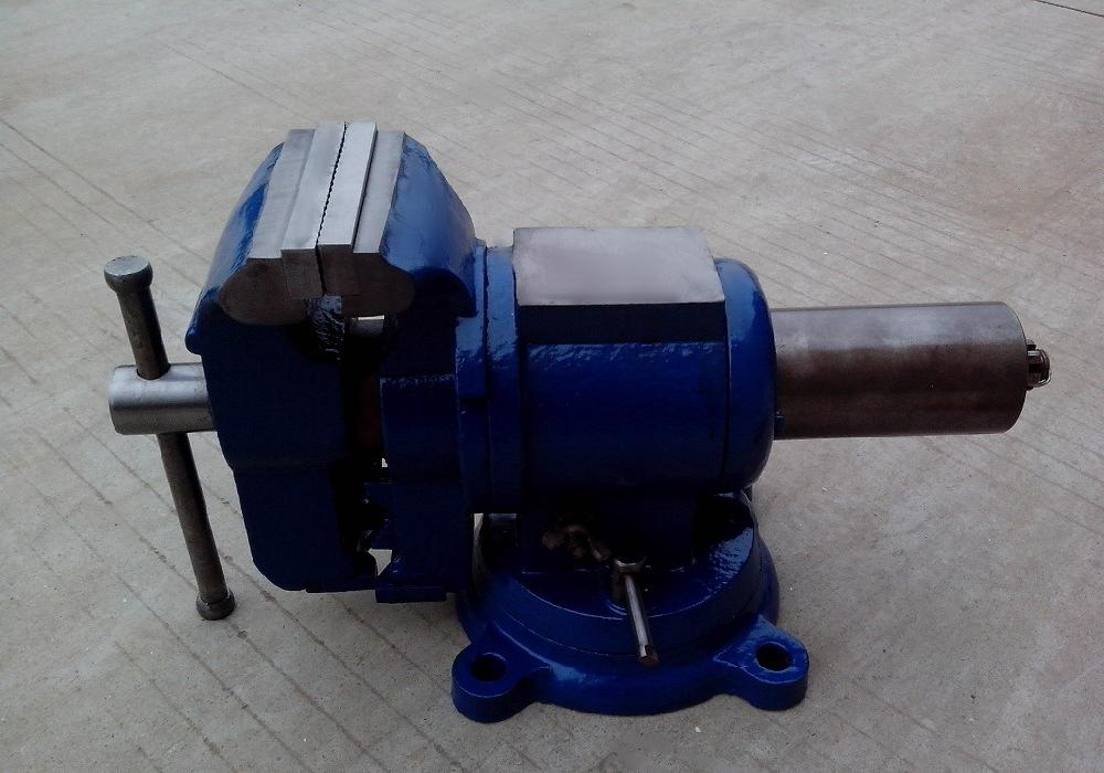 純圓片大受歡迎？真相在這里